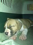     
: IMG_20140922_195724.jpg
: 32
:	80.0 
ID:	8745724