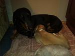     
: IMG_20140923_022524.jpg
: 29
:	86.6 
ID:	8745725