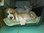     
: IMG_20140922_234047.jpg
: 35
:	102.2 
ID:	8745726