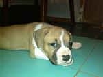     
: IMG_20140922_232028.jpg
: 38
:	85.4 
ID:	8745727