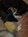     
: IMG_20140923_022830.jpg
: 26
:	62.7 
ID:	8745728