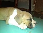     
: IMG_20140922_232045.jpg
: 36
:	86.3 
ID:	8745729