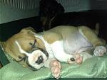     
: IMG_20140922_233110.jpg
: 29
:	108.3 
ID:	8745730