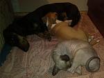     
: IMG_20140923_022636.jpg
: 32
:	97.2 
ID:	8745731
