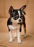     
: DSC_7824.jpg
: 7
:	44.8 
ID:	8747965