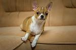     
: DSC_7925.jpg
: 8
:	78.9 
ID:	8747966