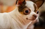     
: DSC_7758.jpg
: 9
:	80.1 
ID:	8747967