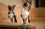     
: DSC_7886.jpg
: 8
:	89.4 
ID:	8747969