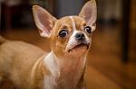     
: DSC_7705.jpg
: 7
:	59.8 
ID:	8747971
