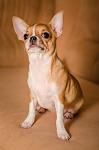     
: DSC_7815.jpg
: 8
:	52.7 
ID:	8747976