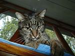     
: dsc02716.jpg
: 9
:	143.0 
ID:	8748565