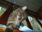     
: dsc02719.jpg
: 9
:	134.0 
ID:	8748566