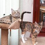     
: DSC_0042.jpg
: 13
:	101.7 
ID:	8748666