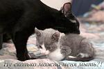     
: DSC_0066 copy.jpg
: 7
:	142.6 
ID:	8748682