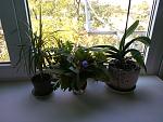     
: IMG_20140924_152641.jpg
: 49
:	159.0 
ID:	8750335