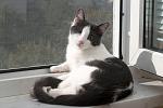     
: DSC_0043.jpg
: 7
:	173.4 
ID:	8751627