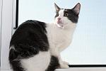     
: DSC_0052.jpg
: 7
:	124.8 
ID:	8751628