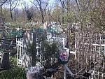     
: 15-04-07_1128.jpg
: 61
:	148.5 
ID:	87680