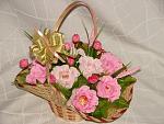     
: DSC07165.jpg
: 16
:	138.2 
ID:	8770022