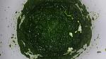     
: 20140928_133259.jpg
: 14
:	96.2 
ID:	8772720