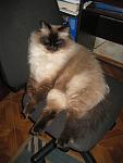     
: IMG_0271.jpg
: 16
:	85.7 
ID:	8774000