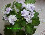     
: IMG_2725.jpg
: 28
:	139.9 
ID:	8779181