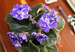     
: IMG_2741.jpg
: 30
:	118.7 
ID:	8779191