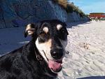     
: IMG00126-20140929-1542.jpg
: 37
:	175.6 
ID:	8780173