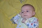     
: DSC_3245.jpg
: 10
:	98.7 
ID:	8780270
