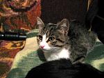     
: IMG_9765.jpg
: 7
:	152.2 
ID:	8784763
