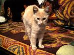     
: IMG_9764.jpg
: 19
:	179.2 
ID:	8784764
