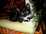     
: IMG_97611.jpg
: 8
:	141.5 
ID:	8784765