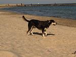     
: IMG00131-20140929-1543.jpg
: 22
:	71.0 
ID:	8785123
