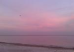     
: 2014-09-30 18.47.36.jpg
: 22
:	48.1 
ID:	8785783