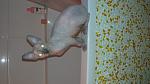    
: 20141001_120142.jpg
: 8
:	86.2 
ID:	8787030
