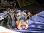     
: DSCN6323.jpg
: 43
:	159.0 
ID:	87885
