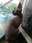     
: DSC_3626.jpg
: 28
:	115.5 
ID:	8789450