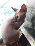     
: DSC_3627.jpg
: 27
:	87.0 
ID:	8789451