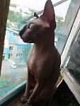     
: DSC_3632.jpg
: 27
:	115.9 
ID:	8789452