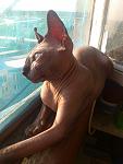     
: DSC_3703.jpg
: 28
:	103.8 
ID:	8789454