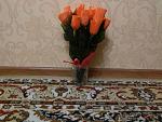     
: image.jpg
: 49
:	191.7 
ID:	8790811