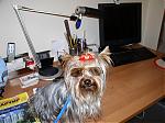     
: P1010240.jpg
: 97
:	109.1 
ID:	87912