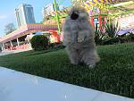     
: IMG_7812.jpg
: 16
:	166.9 
ID:	8793725