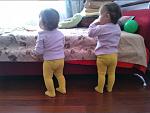     
: IMG_20141003_103936.jpg
: 216
:	101.4 
ID:	8797994