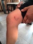     
: IMG_20141004_092455.jpg
: 40
:	85.3 
ID:	8803008