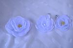     
: DSC_0950.jpg
: 54
:	58.0 
ID:	8803502