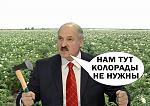     
: BzGH-a2CQAAhYEM.jpg
: 30
:	126.0 
ID:	8803830