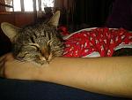     
: 20141004_174557.jpg
: 13
:	143.7 
ID:	8806222