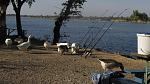     
: IMG_3389.jpg
: 20
:	147.8 
ID:	8807202