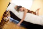     
: 1320919845_cat-gary-parker-7.jpg
: 8
:	20.8 
ID:	8807526
